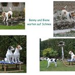 Benny und Biene warten auf Schnee