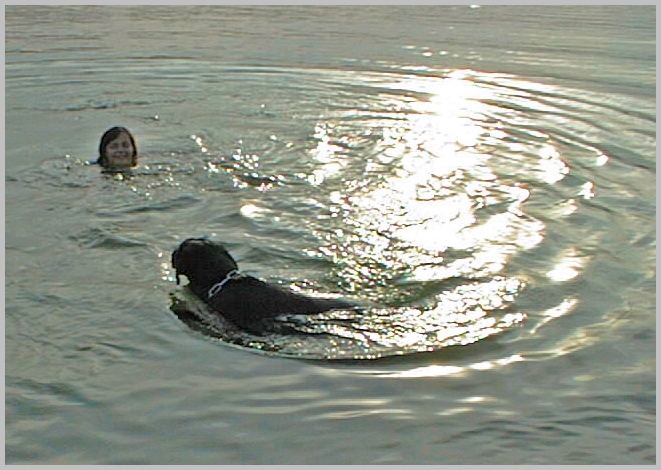 Bennys Lieblingsbeschäftigung;schwimmen...schwimmen