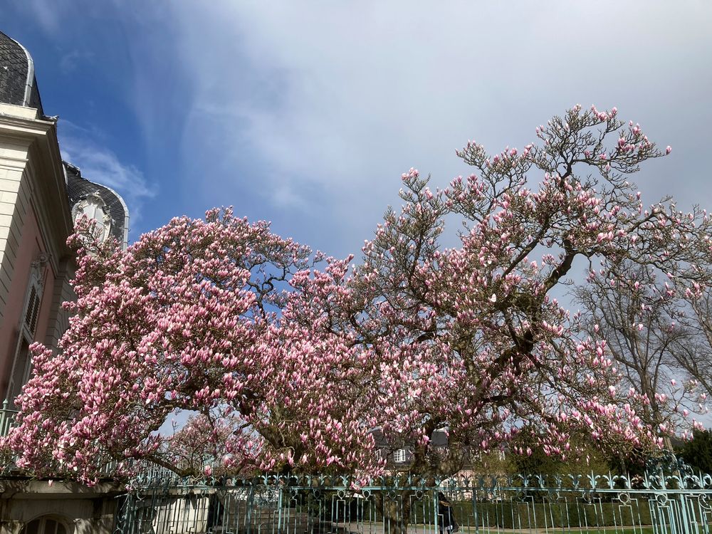 Benrather Schlosspark