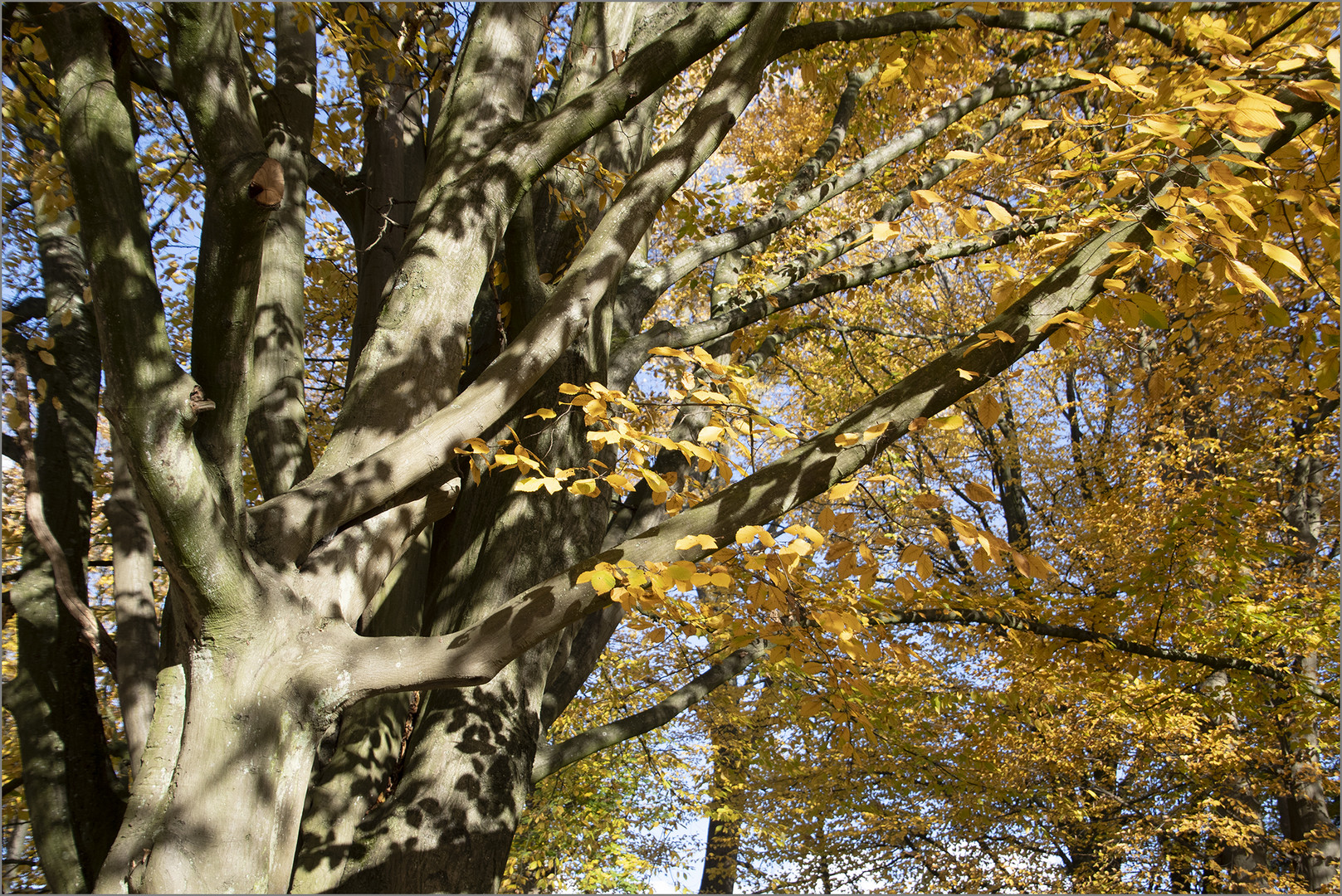 Benrather Schlosspark