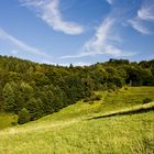 Benshausen - Thüringer Wald