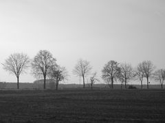 Bensheim - an einem Tag im März des Jahres 2013