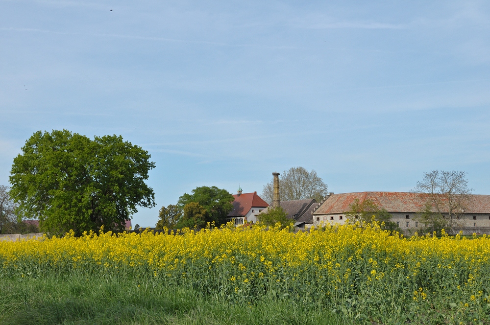 Bensheimer Hof: Denkmalschutz mit Storch 01