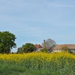 Bensheimer Hof: Denkmalschutz mit Storch 01