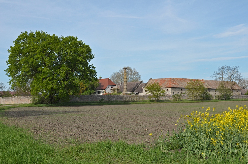 Bensheimer Hof: Denkmalschutz mit Storch 02