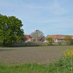 Bensheimer Hof: Denkmalschutz mit Storch 02