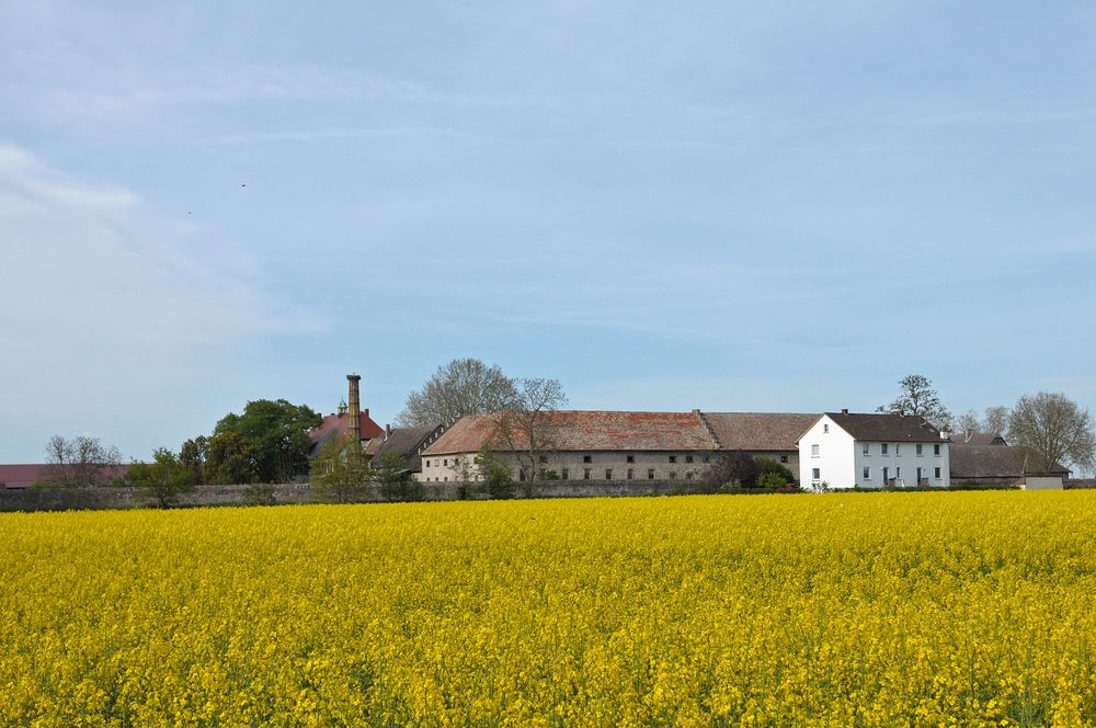 Bensheimer Hof: Denkmalschutz mit Storch 03