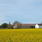 Bensheimer Hof: Denkmalschutz mit Storch 03