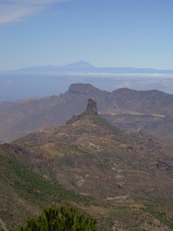 Bentaiga vs Teide