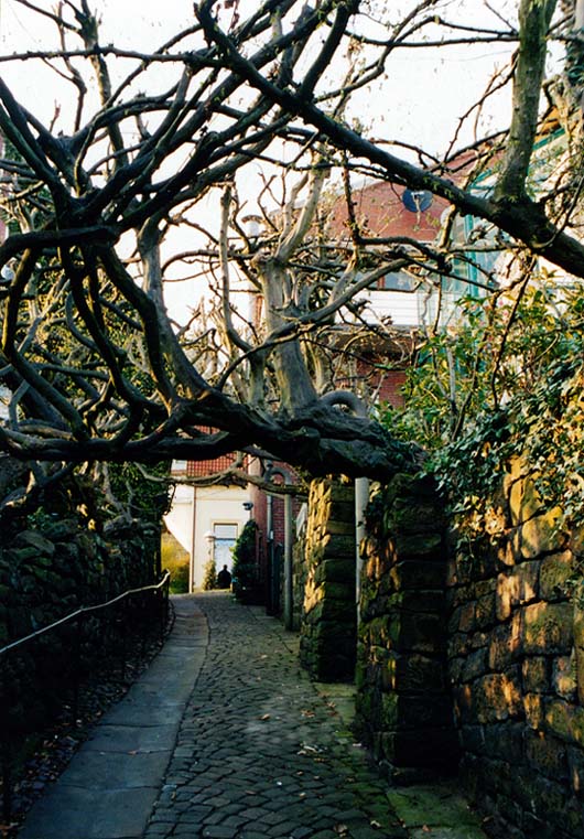 bentheim mit alter stadtmauer und laubengang