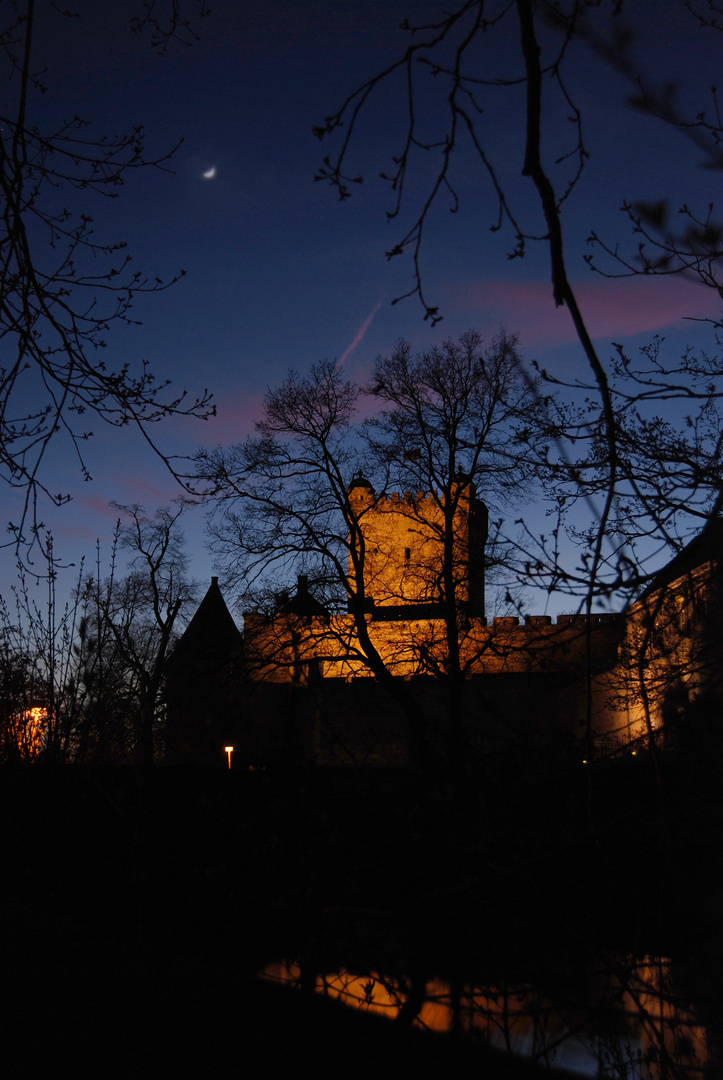 Bentheimer Burg