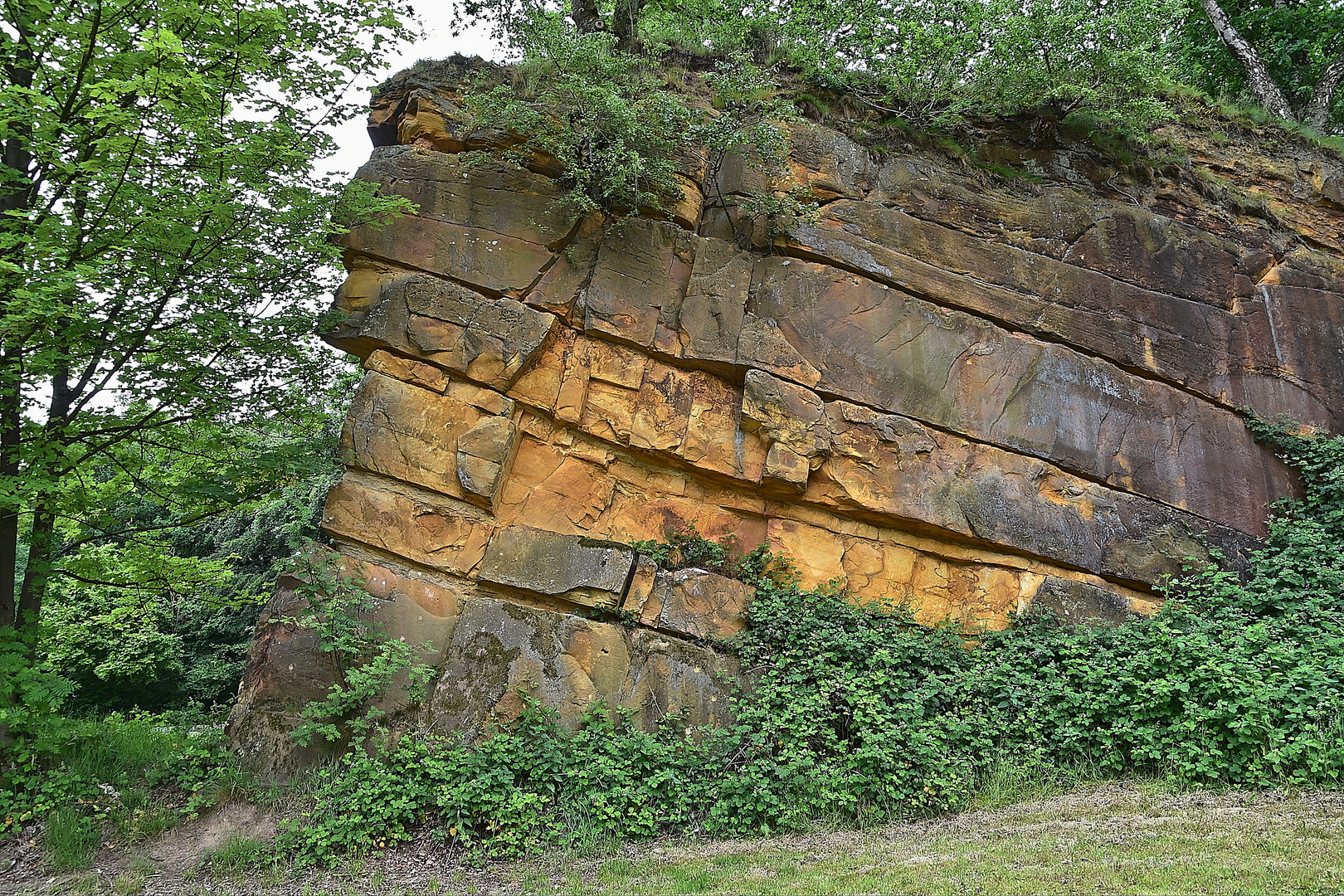 Bentheimer Klippen (Alter Steinbruch)