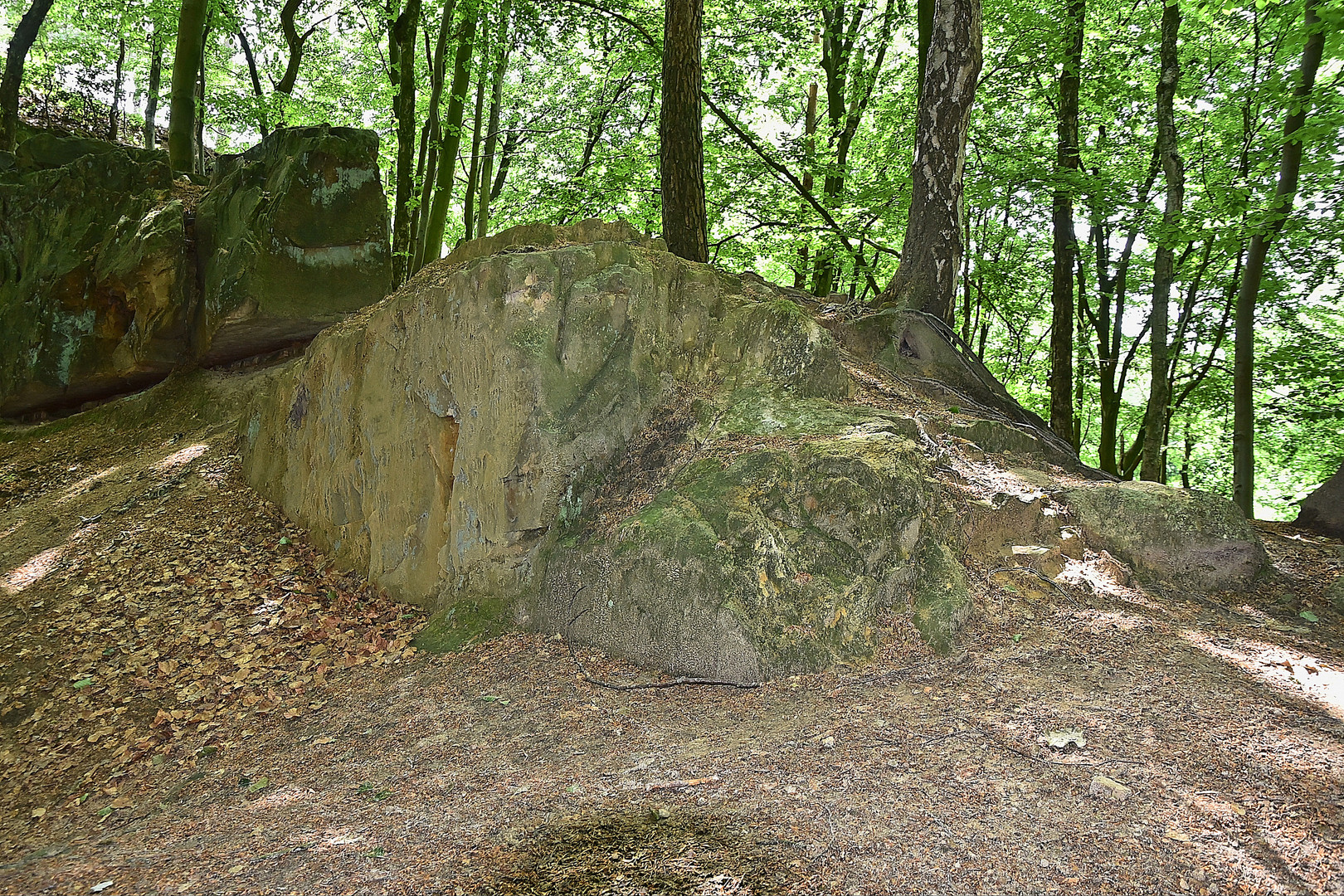 Bentheimer Klippen (Alter Steinbruch)