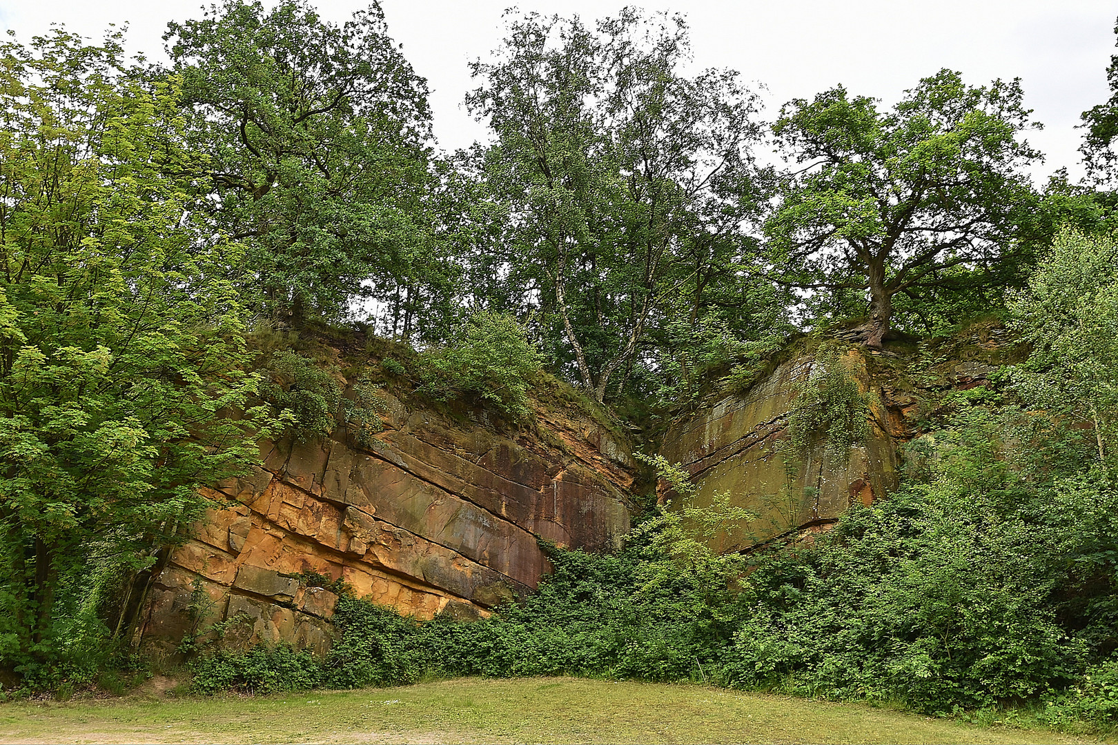 Bentheimer Klippen (Alter Steinbruch)