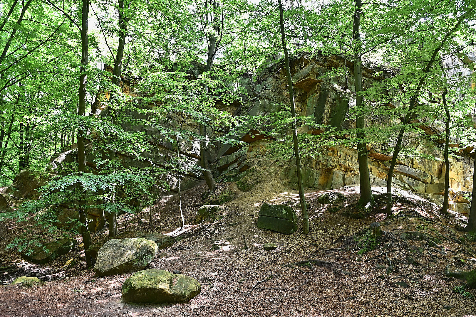 Bentheimer Klippen (Alter Steinbruch)