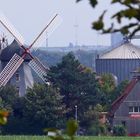 Benther Mühle im Calenberger Land (Nds.) bei den sieben Trappen...