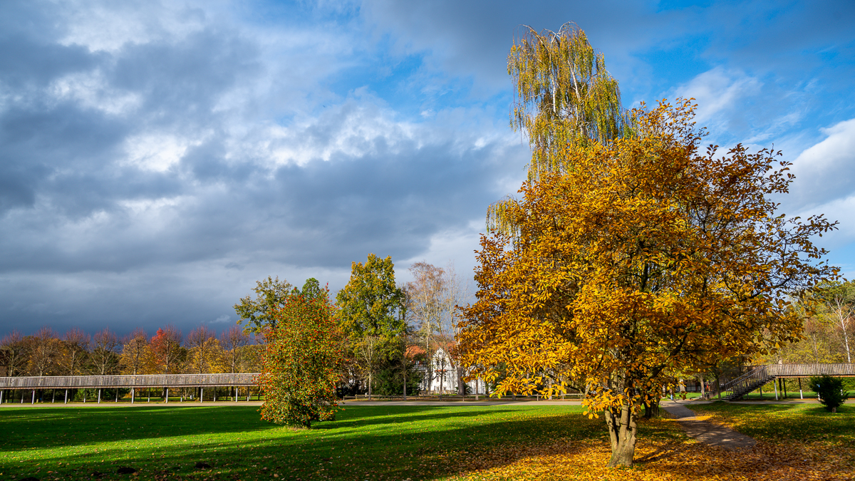 Bentlage Herbst 1