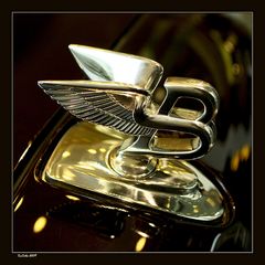 Bentley Detail