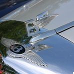 Bentley Detail