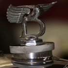 Bentley Emblem