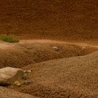 Bentonite Hills, Capitol Reef National Park