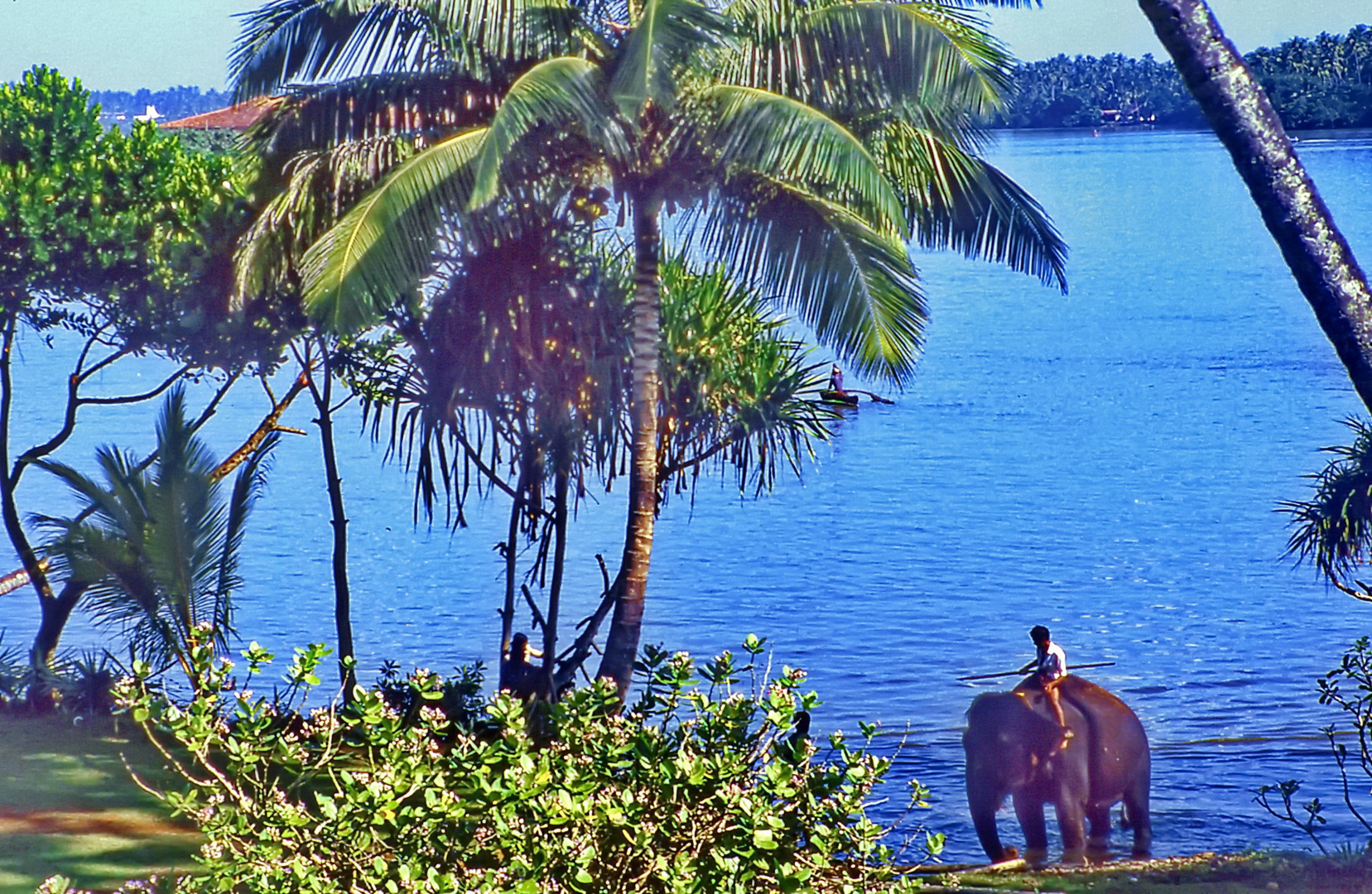 Bentota Beach