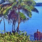 Bentota Beach