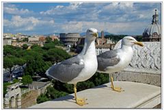 benvenuta a Roma....