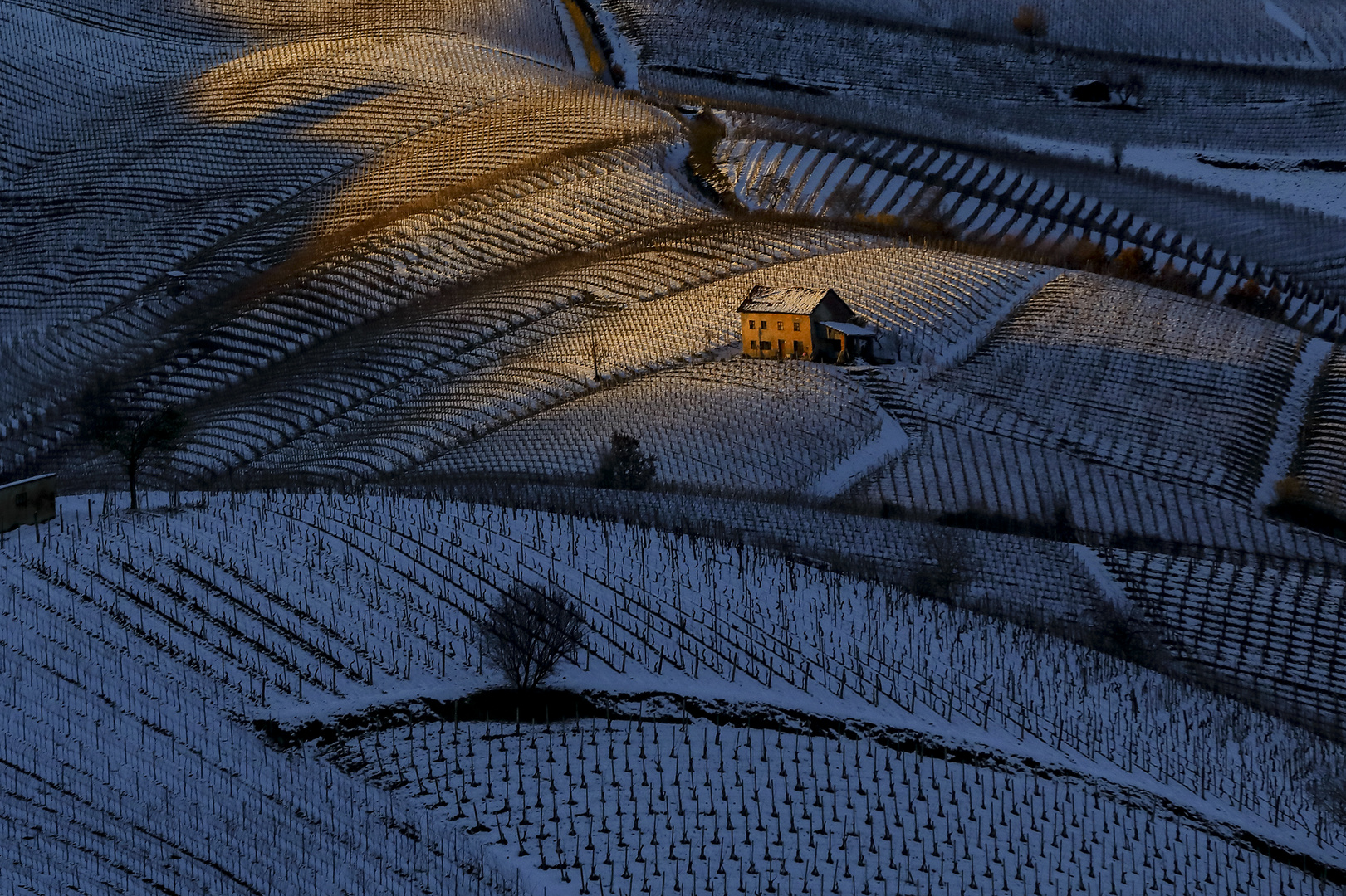 benvenuti nell'ombra