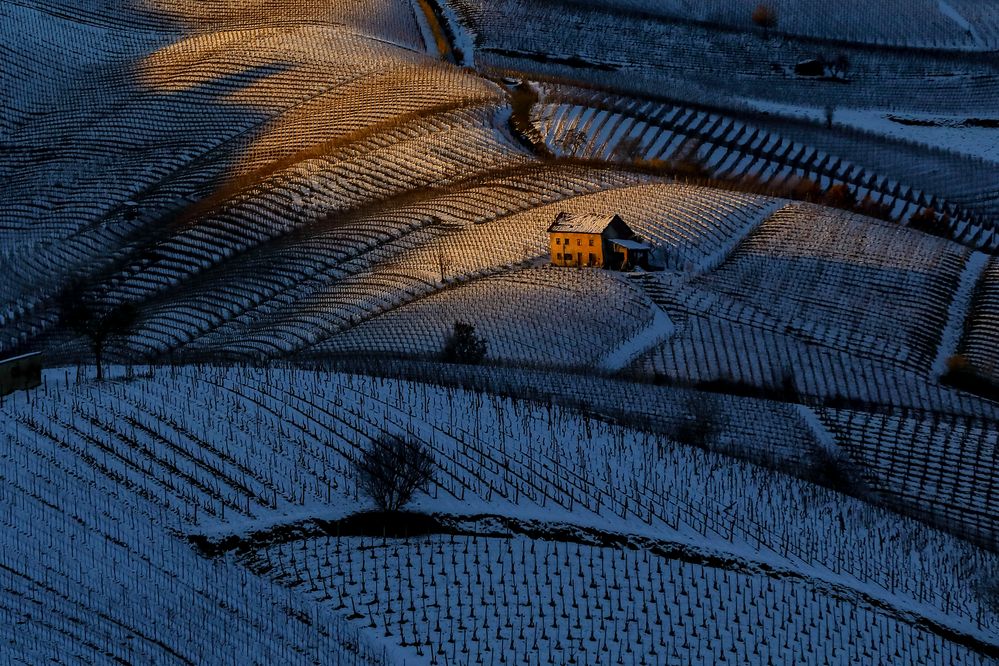 benvenuti nell'ombra