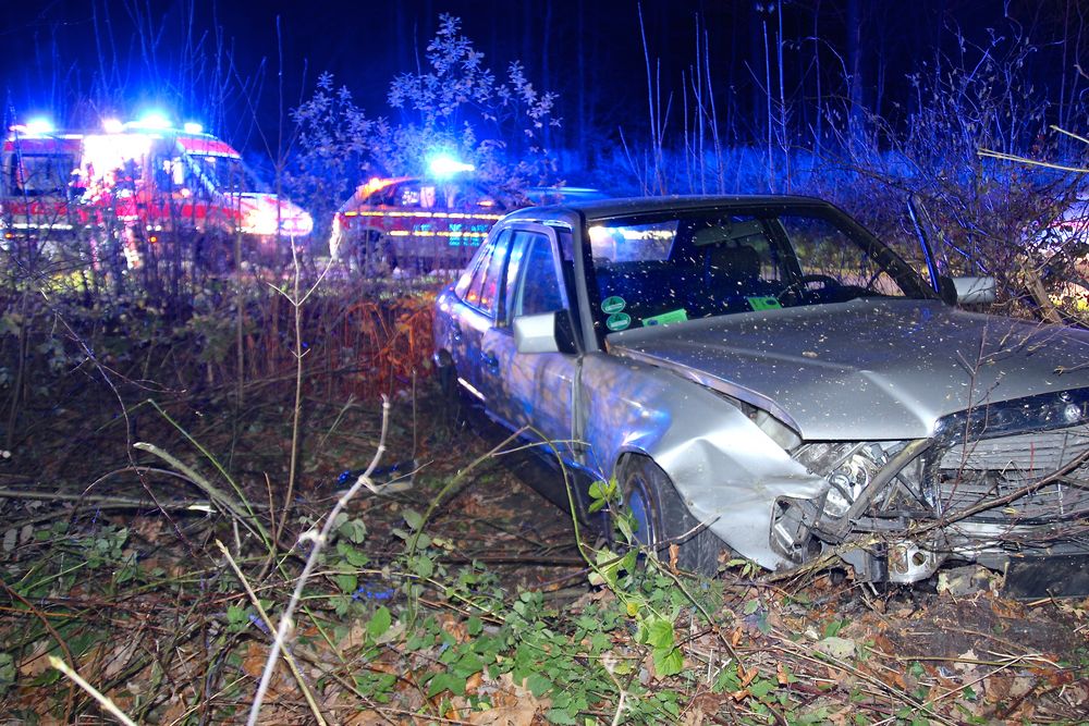 Benz in der Botanik – Rettung im dunklen Wald