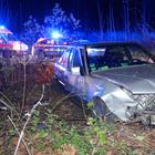 Benz in der Botanik – Rettung im dunklen Wald