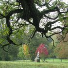 Beobachter im Park von Schloß Eichenzell bei Fulda