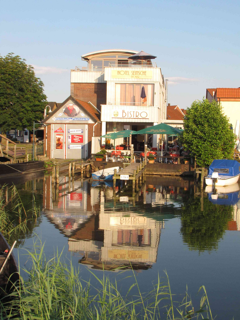 Beobachtet in Steinhude !