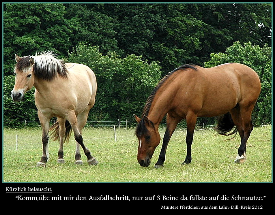 Beobachtet und notiert !