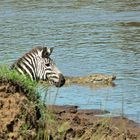 Beobachtung am Fluss