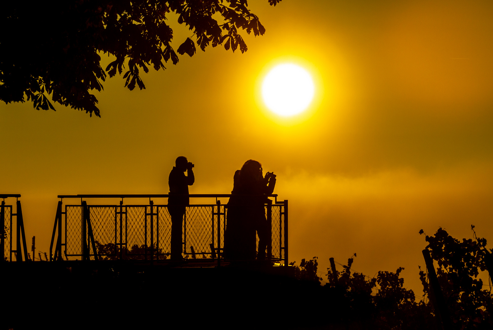 Beobachtung des Sonnenaufgangs