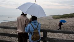 BEOBACHTUNGEN IM REGEN