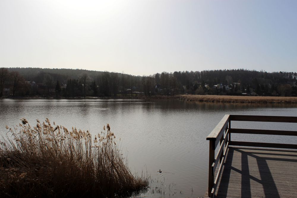 Beobachtungssteg am See