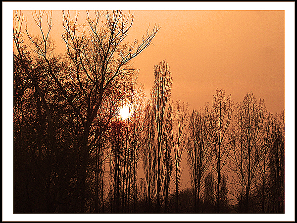 Beograd Dunav SERBIA