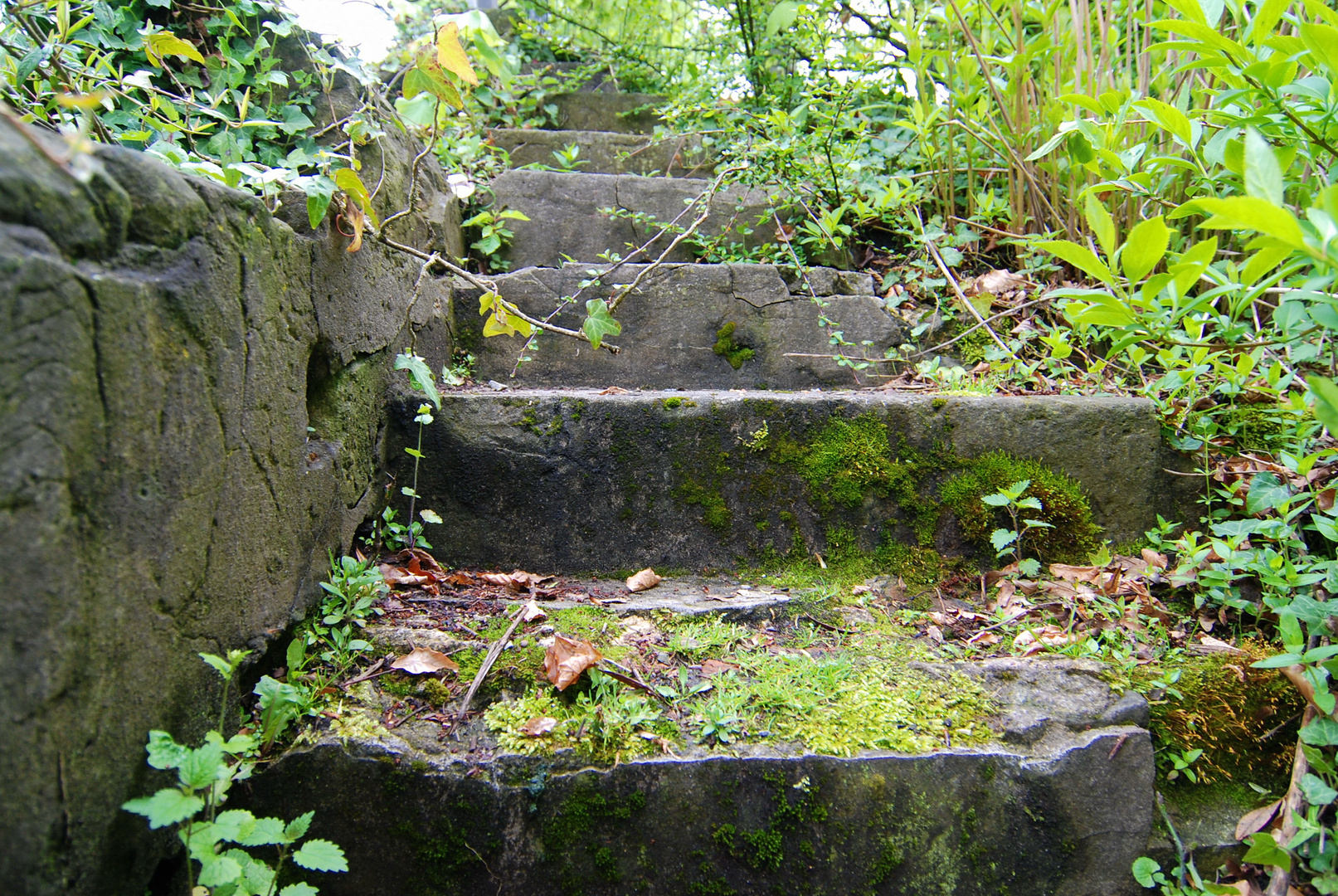 Bepflanzte Steintreppe