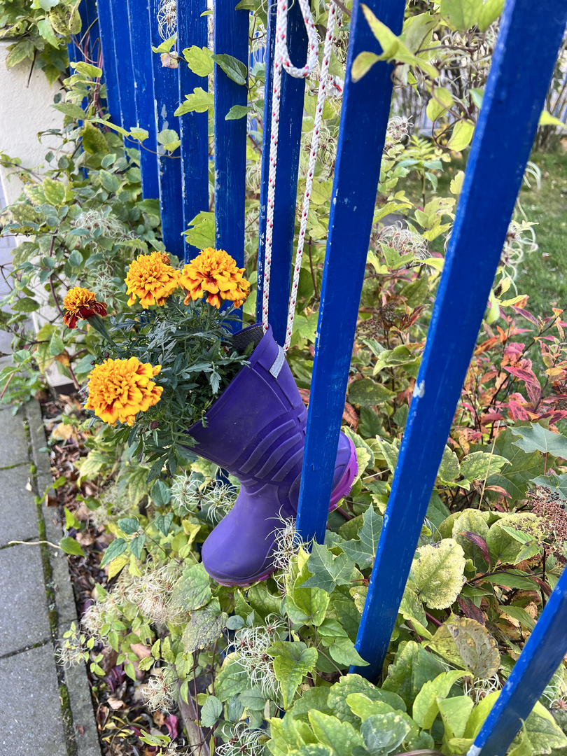 bepflanztes Stiefelchen am Zaun eines Kindergartens in Warnemünde