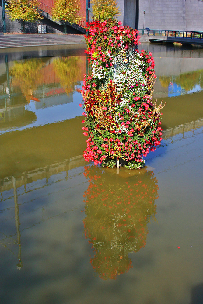 Bepflanzung im Wasser