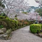 Beppu - Japanese Garden