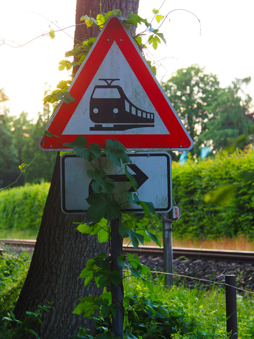 Berankter Bahnübergang