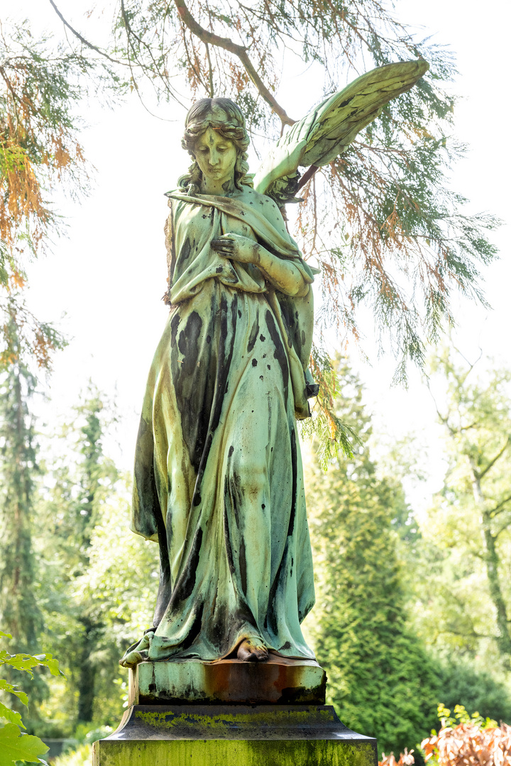 Beraubt - Köln - Melatenfriedhof