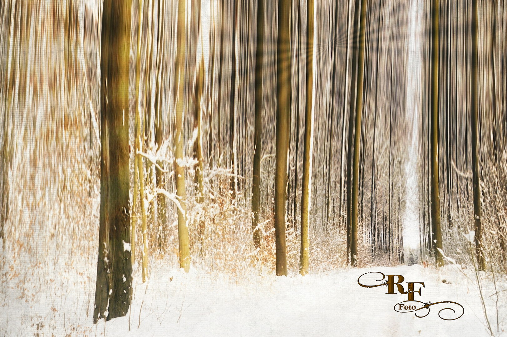 Berauschend schöner Winterwald ...