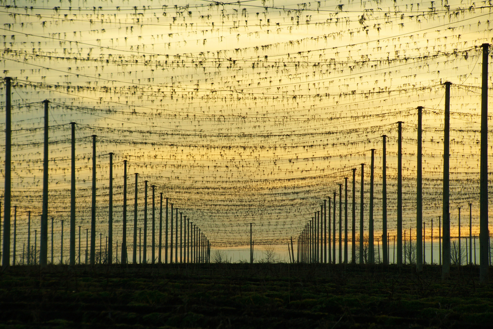 Berauschendes Licht