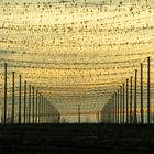 Berauschendes Licht