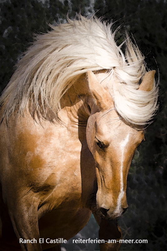 Berber